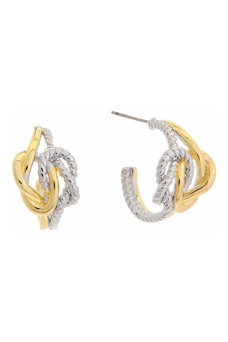 Two Tone Hoop Earrings, Main, color, TWO TONE