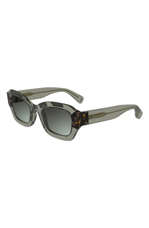 Longchamp Heritage 50mm Cat Eye Sunglasses In Transparent Olive/havana