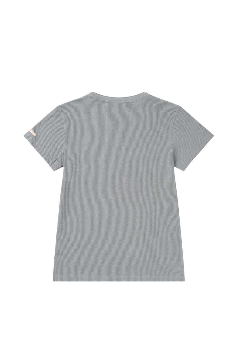 Amundsen Formula Tee Womens, Alternate, color, Stormy Blue