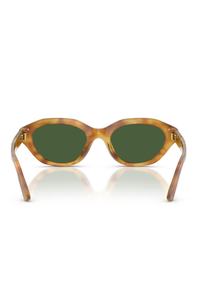 PH4237U 52mm Cat Eye Sunglasses, Alternate, color, SHINY TORTOISE BROWN / GREEN