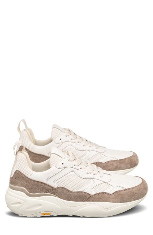 Clae Salazar Sneaker In Offwhite Cashmere