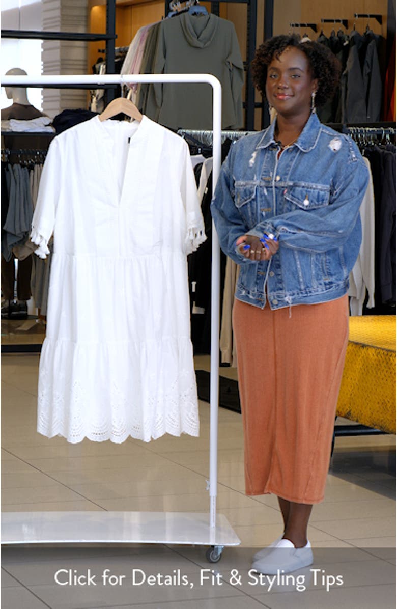 Eyelet Embroidery Tiered Cotton Shift Dress, sales video thumbnail