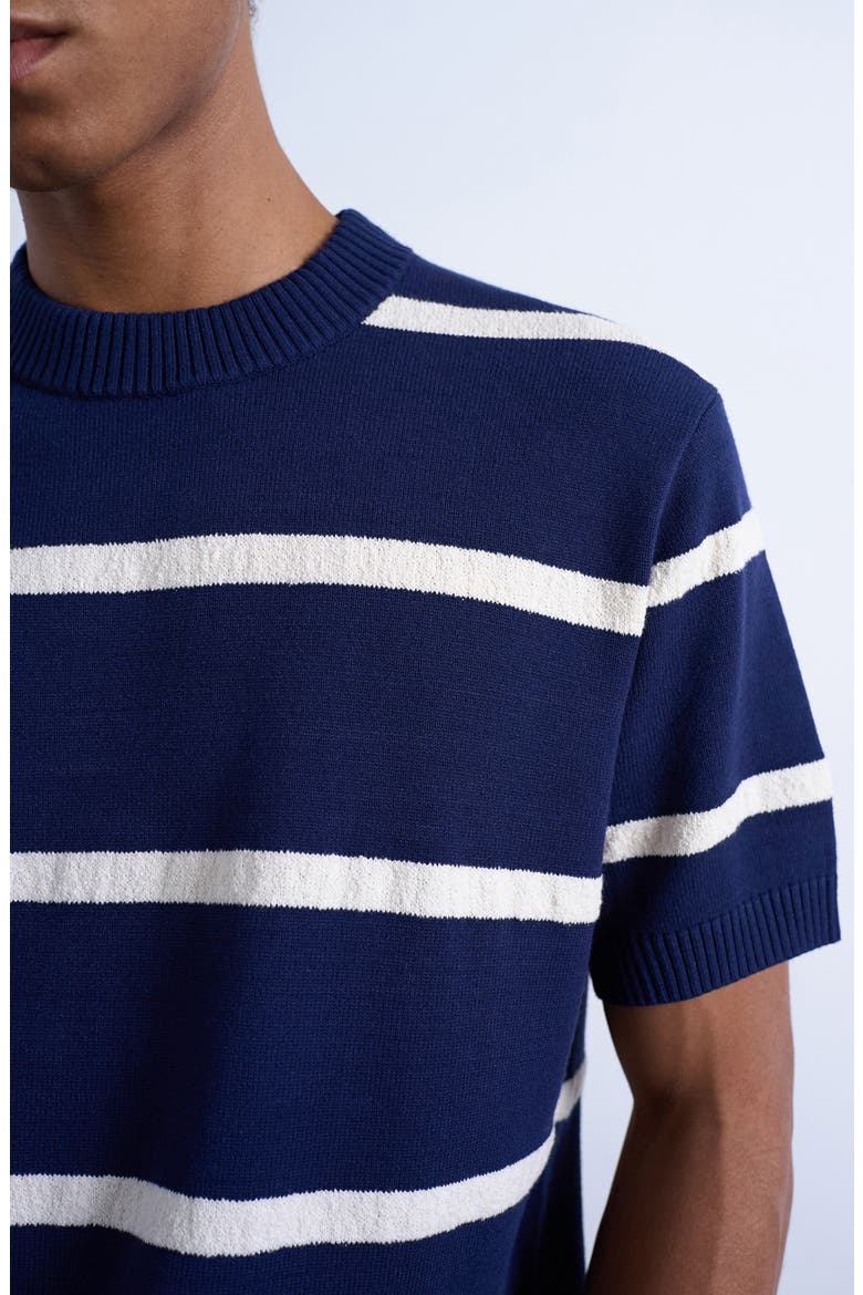 Textured Stripe Short Sleeve Crewneck Sweater, Alternate, color, NAVY