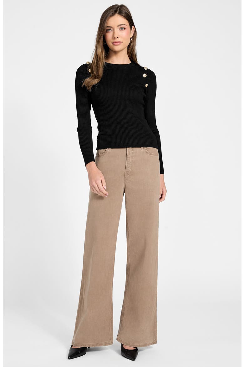 Vonn Button Detail Rib Sweater, Alternate, color, BLACK