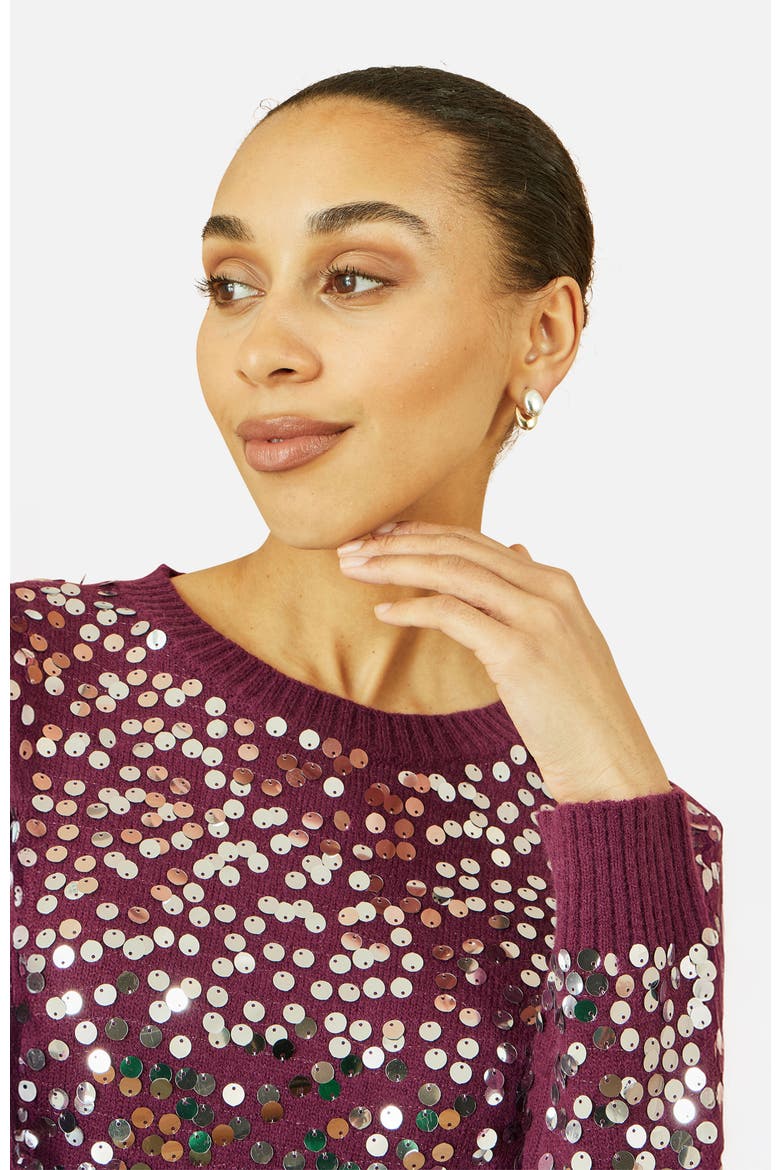 Sequin Relaxed Fit Sweater, Alternate, color, Burgundy