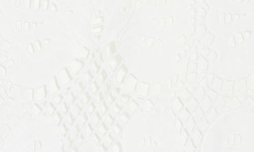 Nsr Lace Long Sleeve Dress