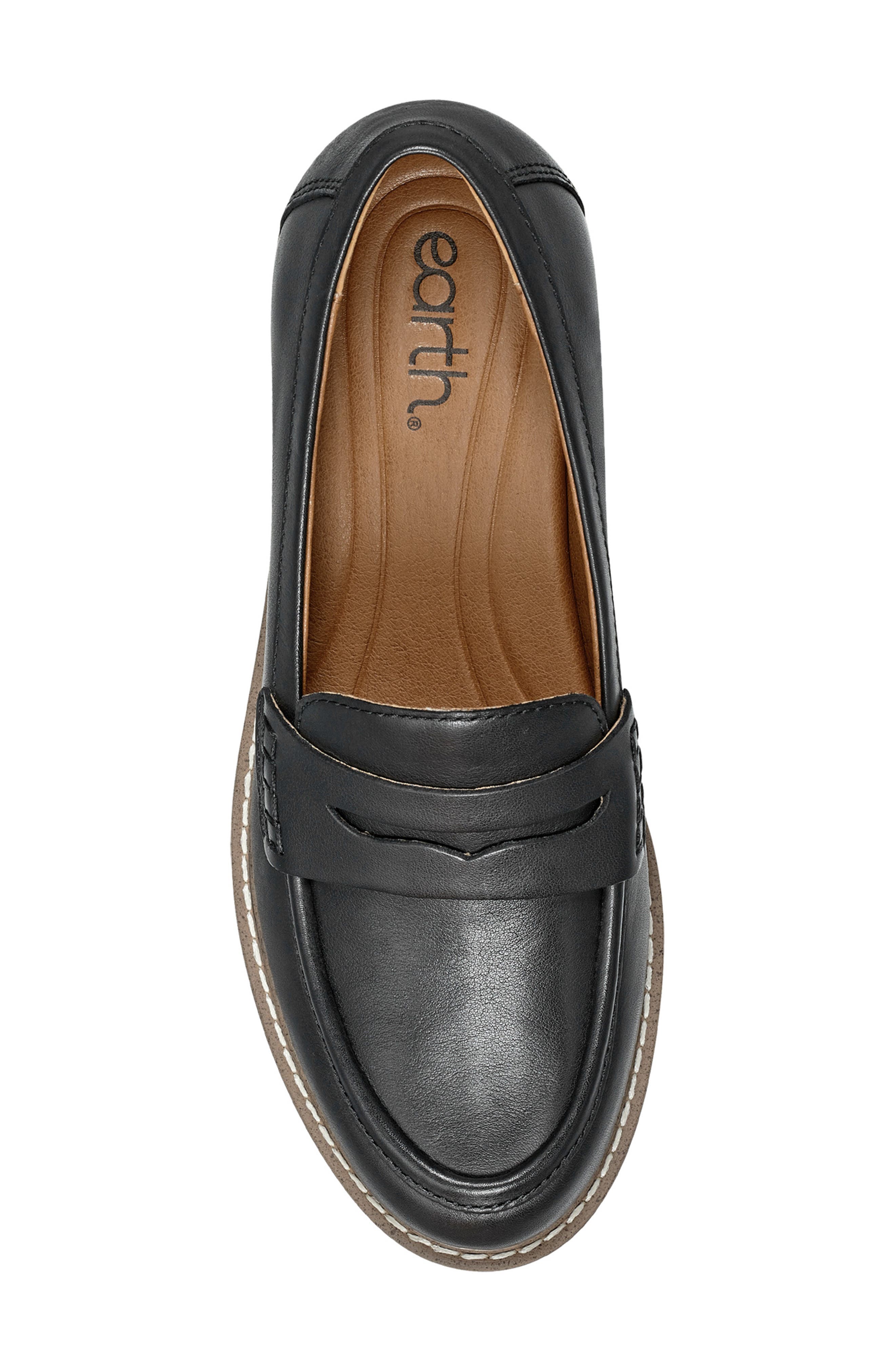 Earth<sup>®</sup> Javas Penny Loafer, Alternate, color, Black