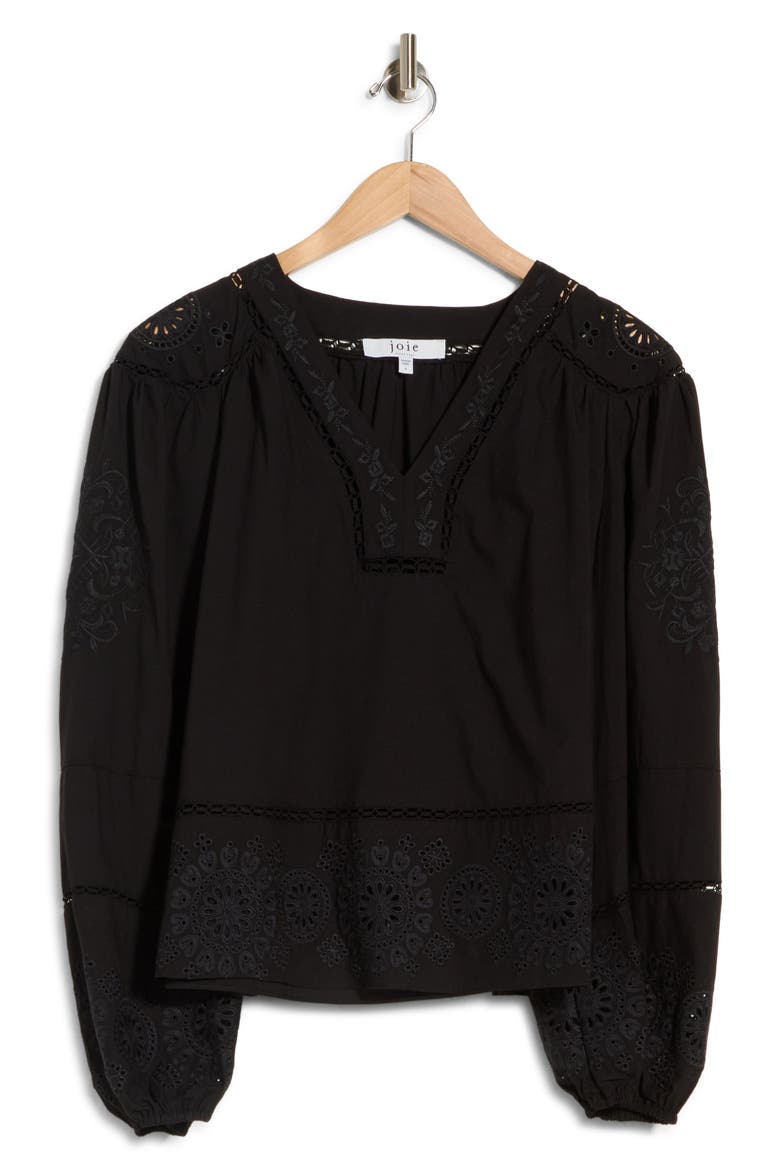 Embroidered Blouson Sleeve Top, Main, color, BLACK