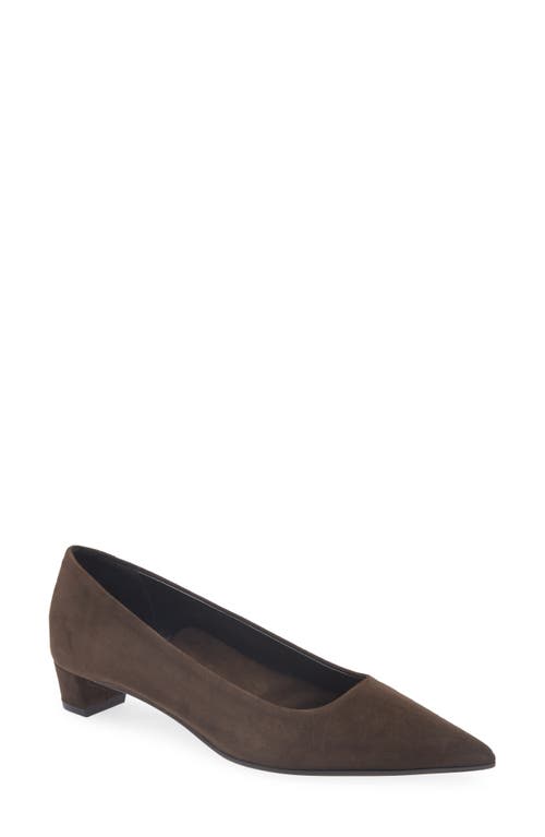 Aeyde Judi Pointed Toe Pump In Brown