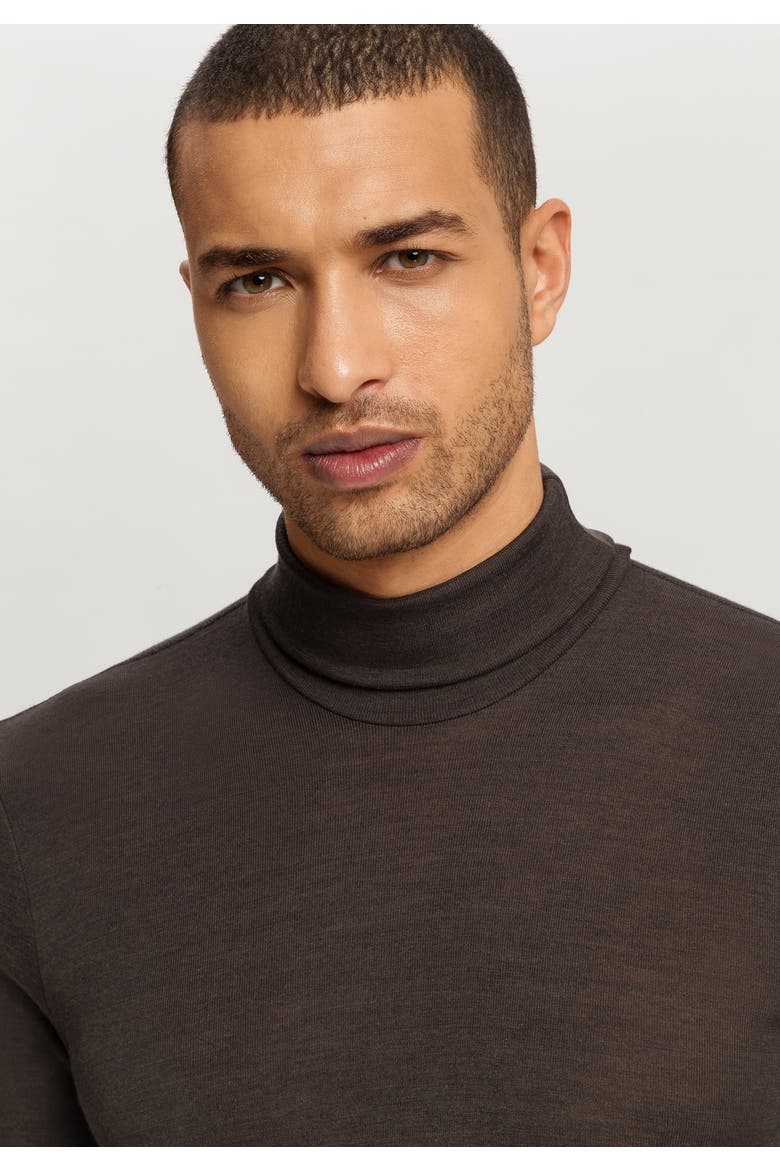 Woolen Silk Thermal Turtleneck, Alternate, color, Earthy Ink