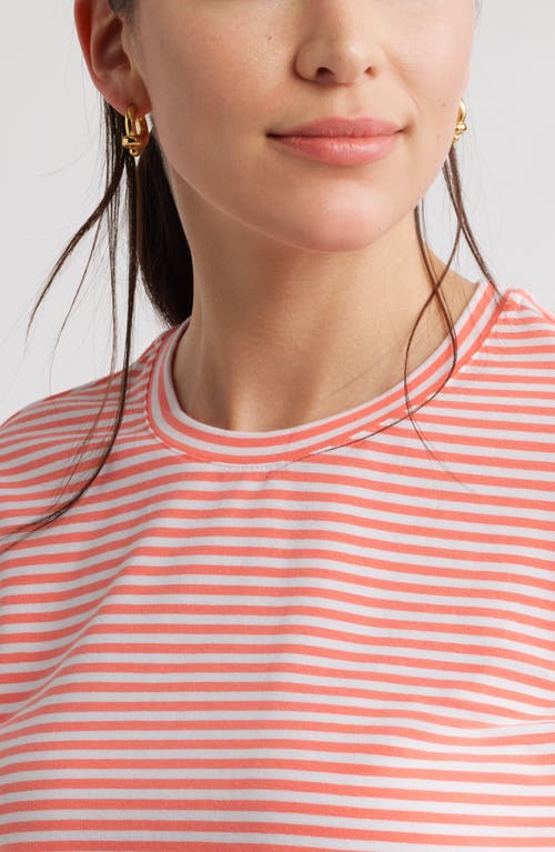 Caslonr Caslon(r) Stripe Crop T-shirt In Coral- White Beck Stripe