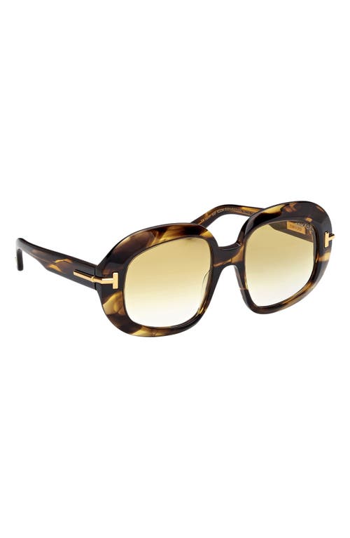 Tom Ford Icon 53mm Gradient Round Sunglasses In Brown