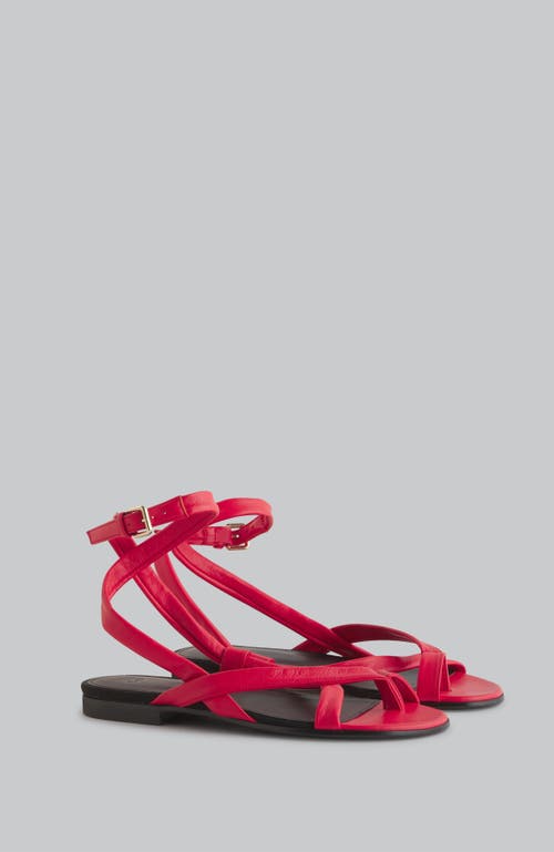 Co Asymmetric Toe Ring Gladiator Sandal
