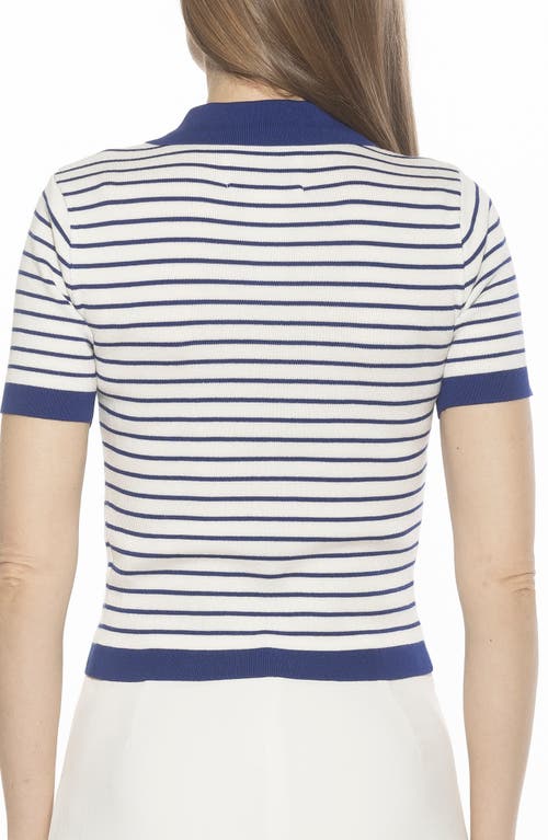 Alexia Admor Elani Knit Polo In Ivory/navy