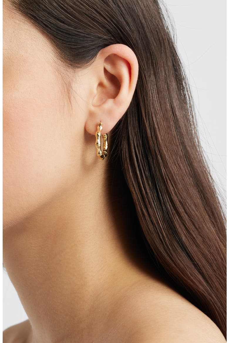 Dominica Hoop Earrings, Alternate, color, GOLD