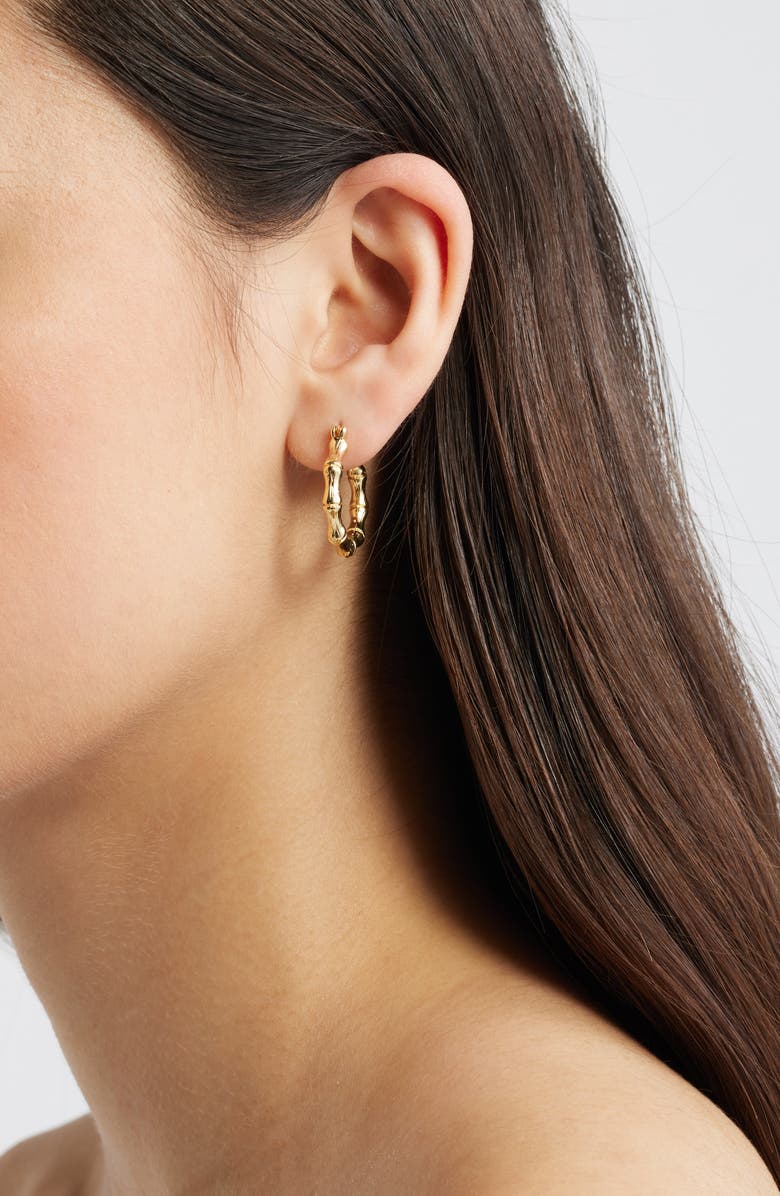 Child of Wild Dominica Hoop Earrings, Alternate, color, Gold
