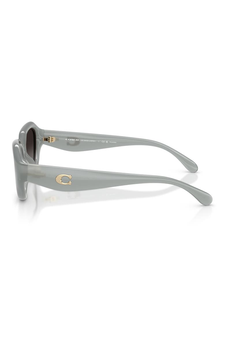 52mm Gradient Polarized Irregular Sunglasses, Alternate, color, MILKY EUCALYPTUS / GREY