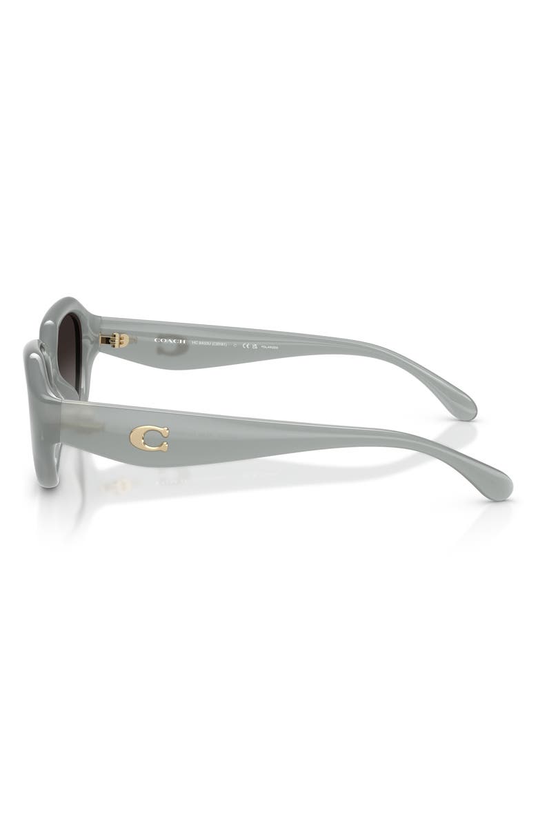 COACH 52mm Gradient Polarized Irregular Sunglasses, Alternate, color, Milky Eucalyptus / Grey