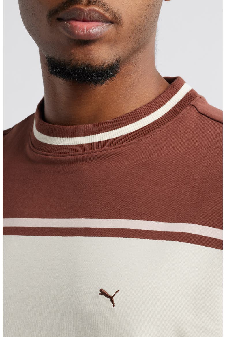 x The Brooklyn Circus Relaxed Stripe T-Shirt, Alternate, color, CHOCOTART