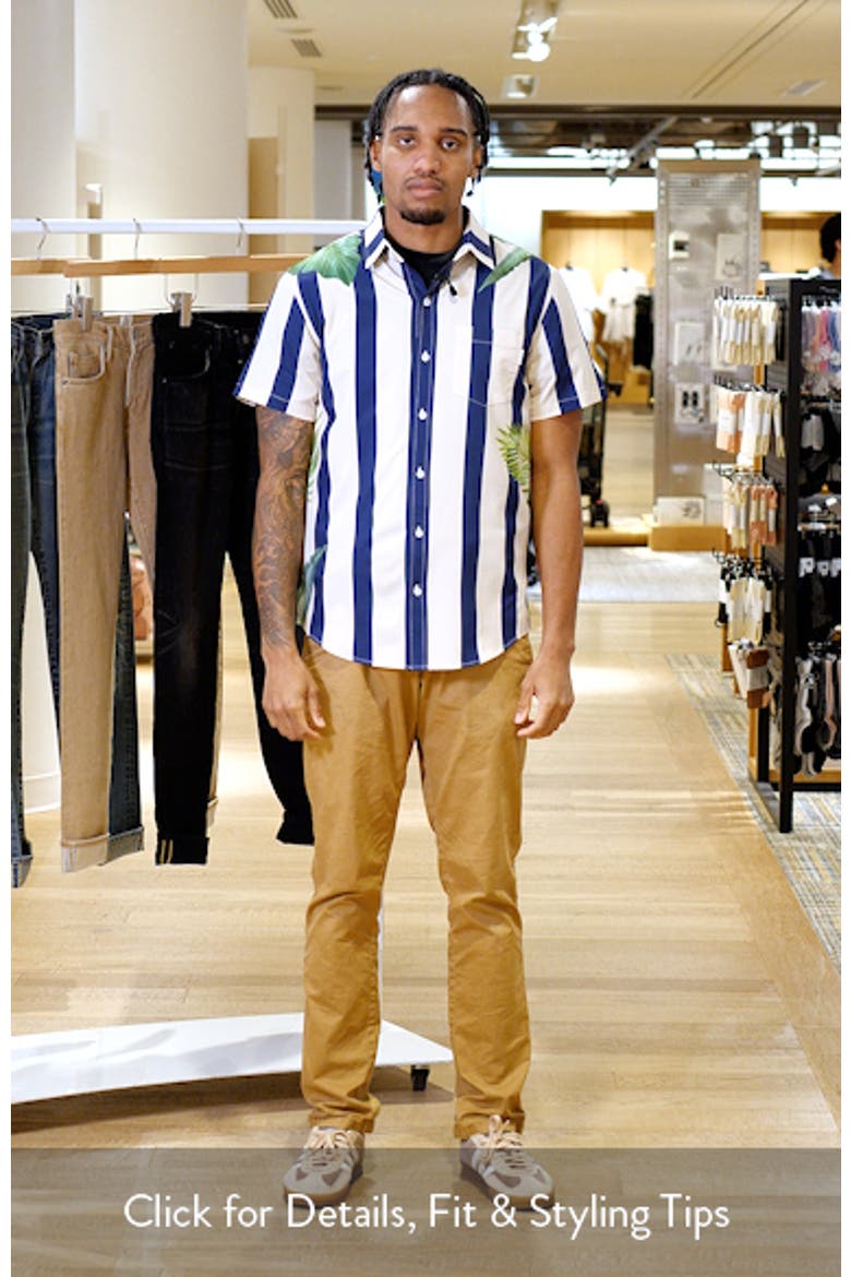 Stripe Palm Frond Short Sleeve Performance Button-Up Shirt video