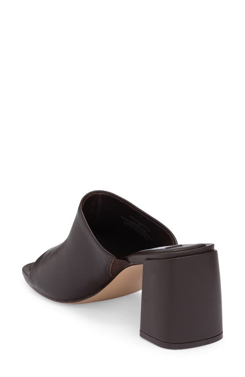 Steve Madden Ammanda Mule In Brown