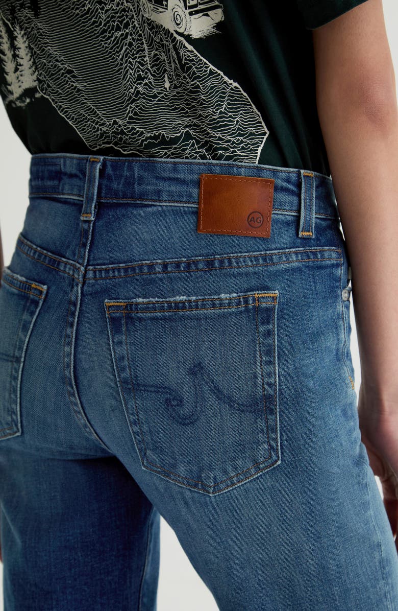 AG Sandra Low Rise Slim Straight Leg Jeans, Alternate, color, 10 Years Illiad