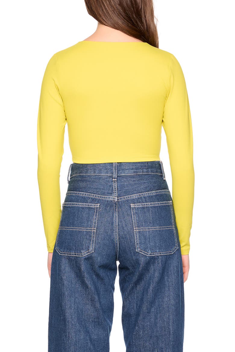 Long Sleeve V-Neck Crop Top, Alternate, color, ENVDIVE