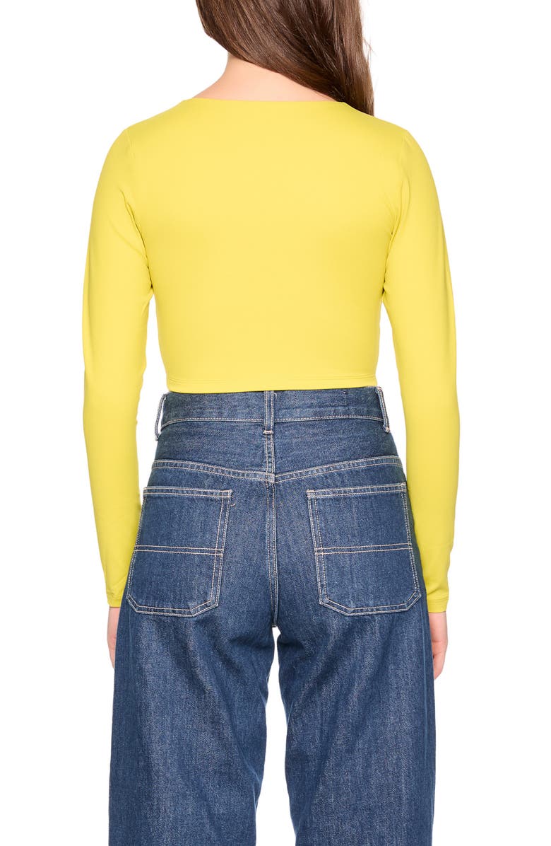 Susana Monaco Long Sleeve V-Neck Crop Top, Alternate, color, Envdive