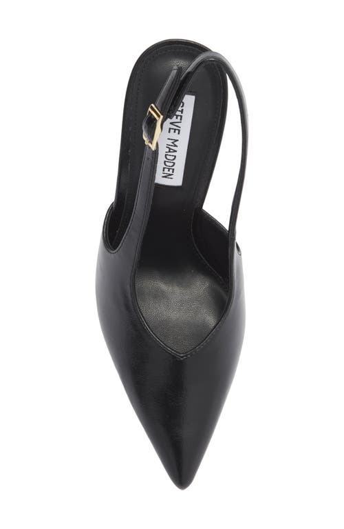 Steve Madden Beverlie Pointed Toe Slingback Pump In Black