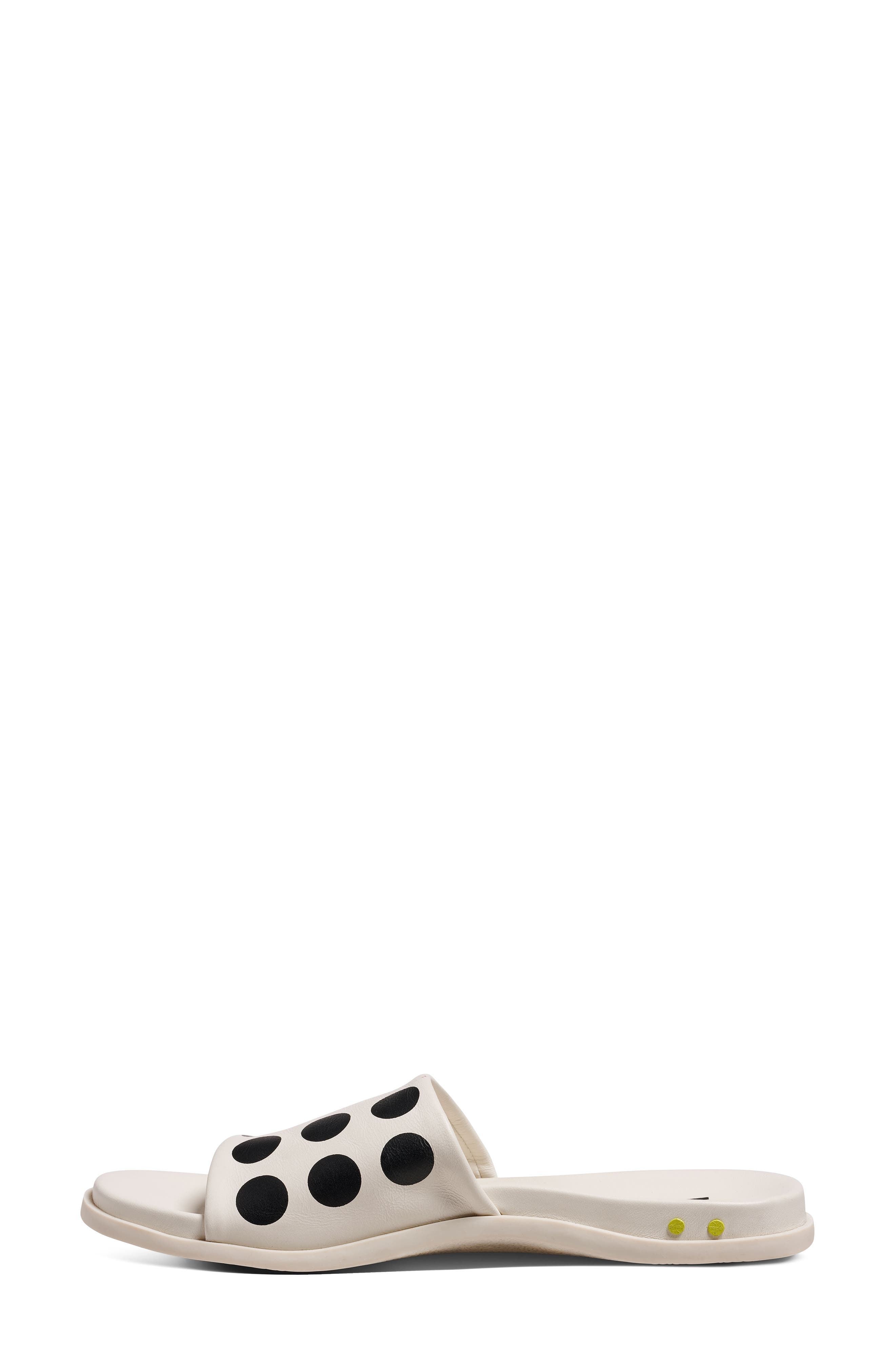 Railibird Slide Sandal, Alternate, color, DOT