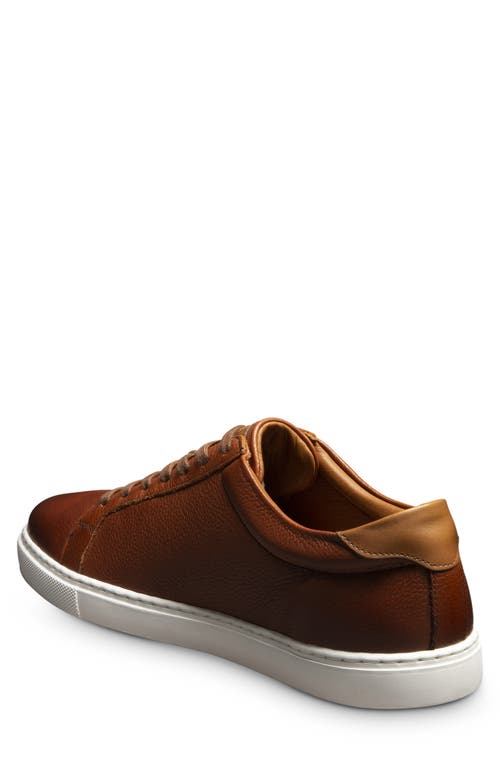 Allen Edmonds Courtside Sneaker In Chili