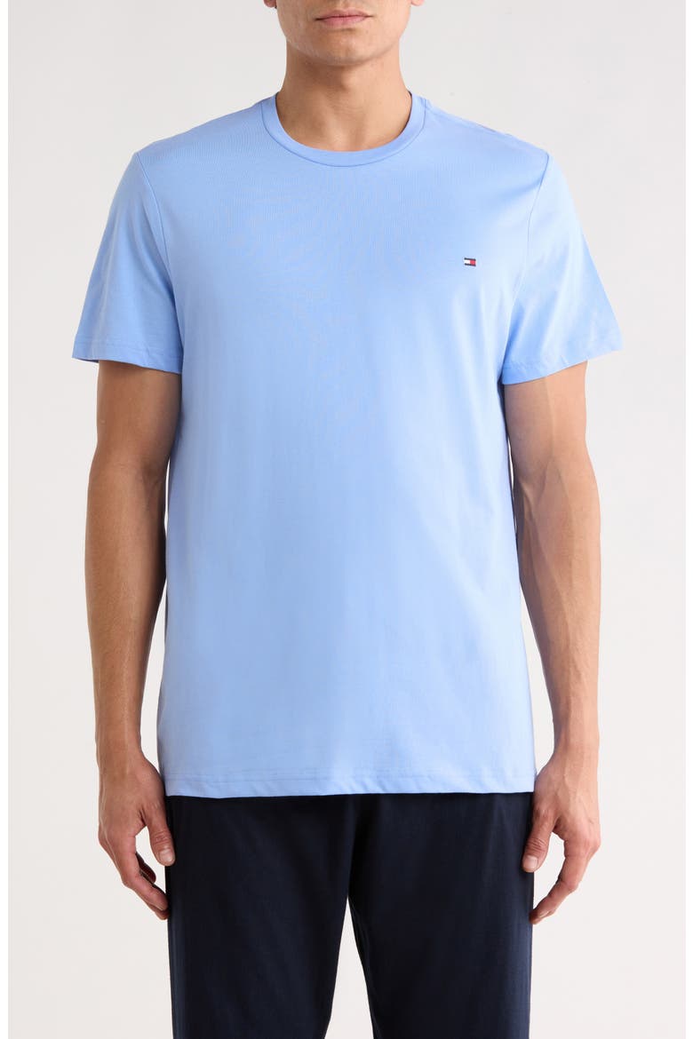 Core Flag Crewneck Tee, Main, color, JUNE IRIS