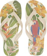 Havaianas x Farm Rio Parrot Floral Flip Flop Women Nordstrom