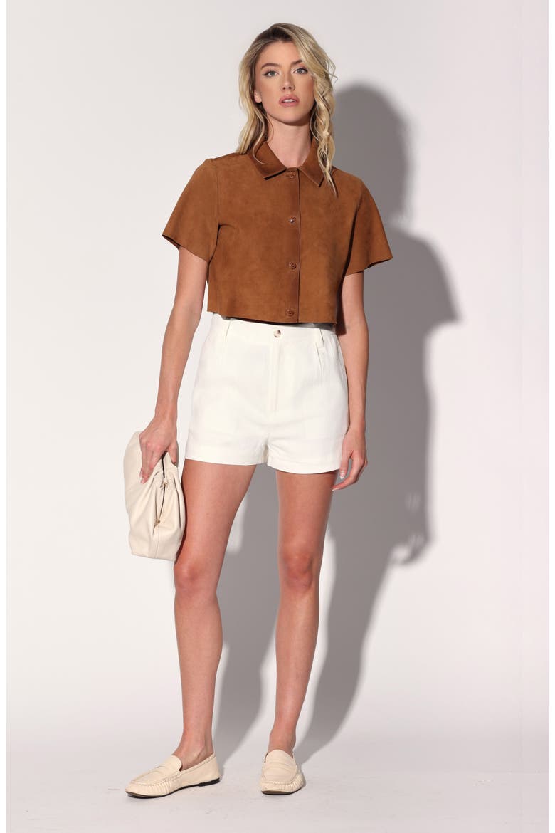 Karla Suede Top, Alternate, color, OAK SUEDE