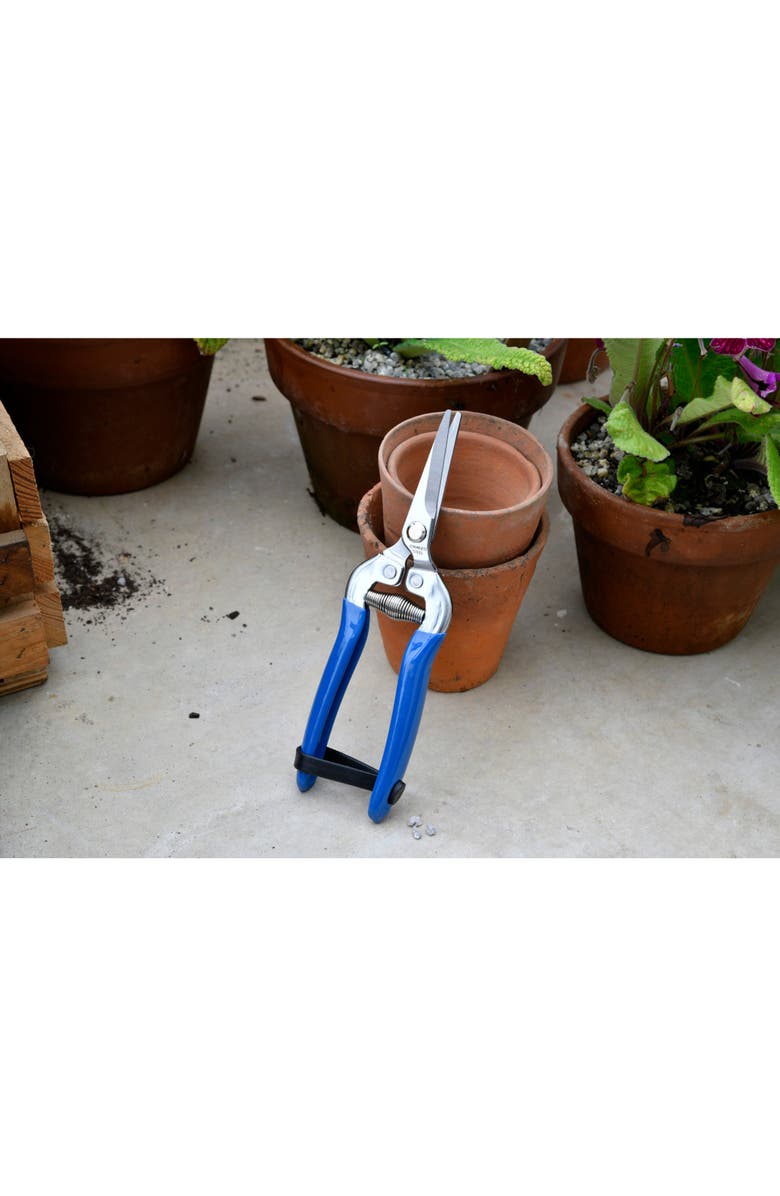Burgon & Ball British Meadow Fruit & Flower Snips, Alternate, color, Blue