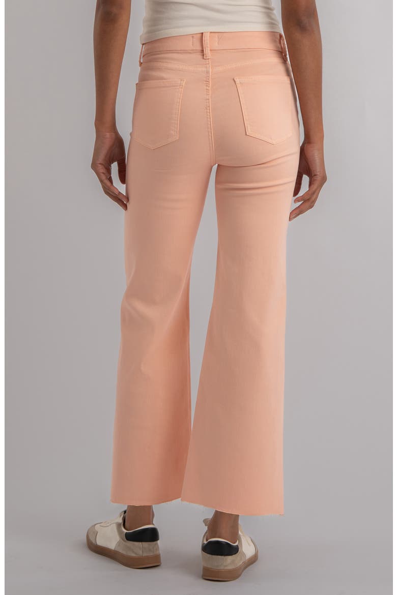 Meg Fab Ab Raw Hem High Waist Wide Leg Jeans, Alternate, color, SHERBET
