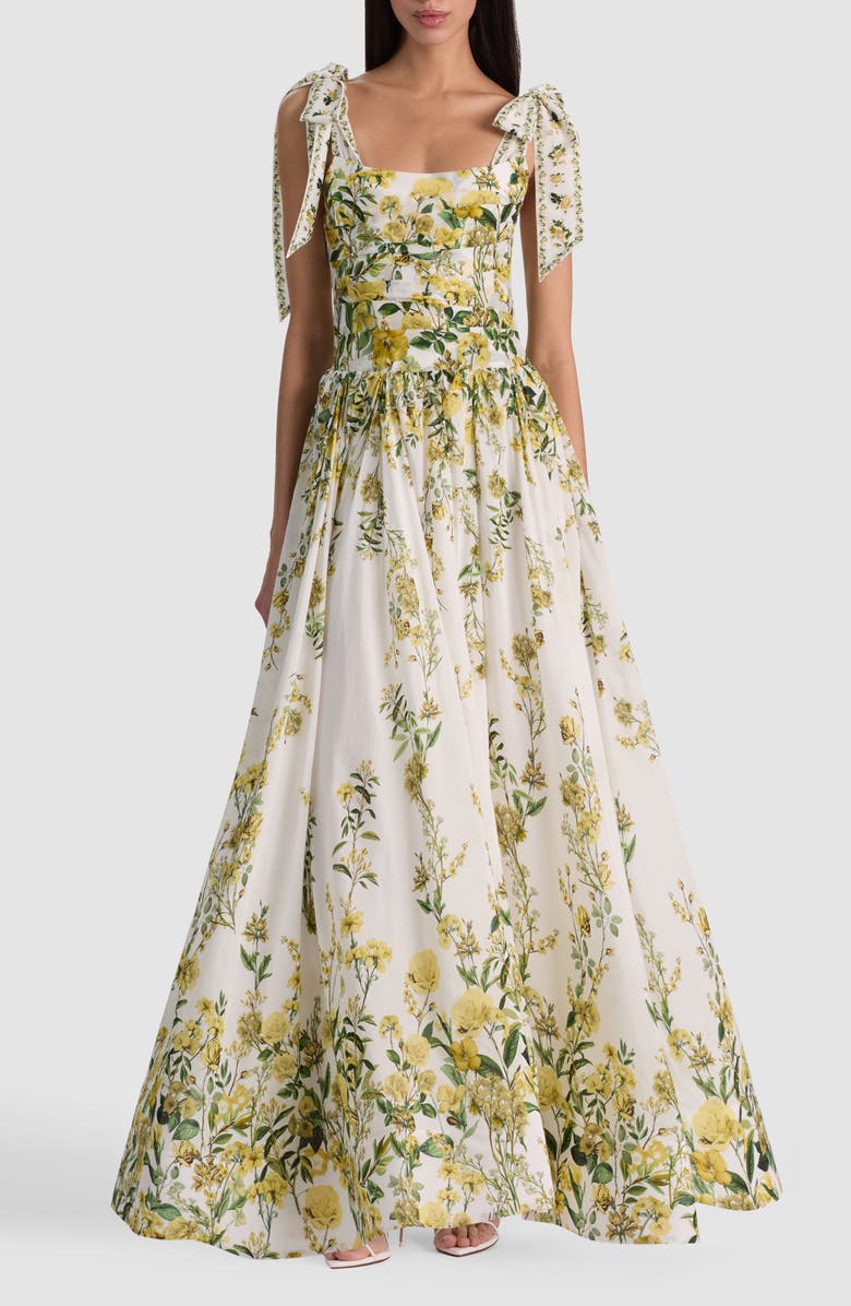 Alice + Olivia Haven Cotton & Silk Fit & Flare Maxi Dress, Main, color, Fresh Air Butter