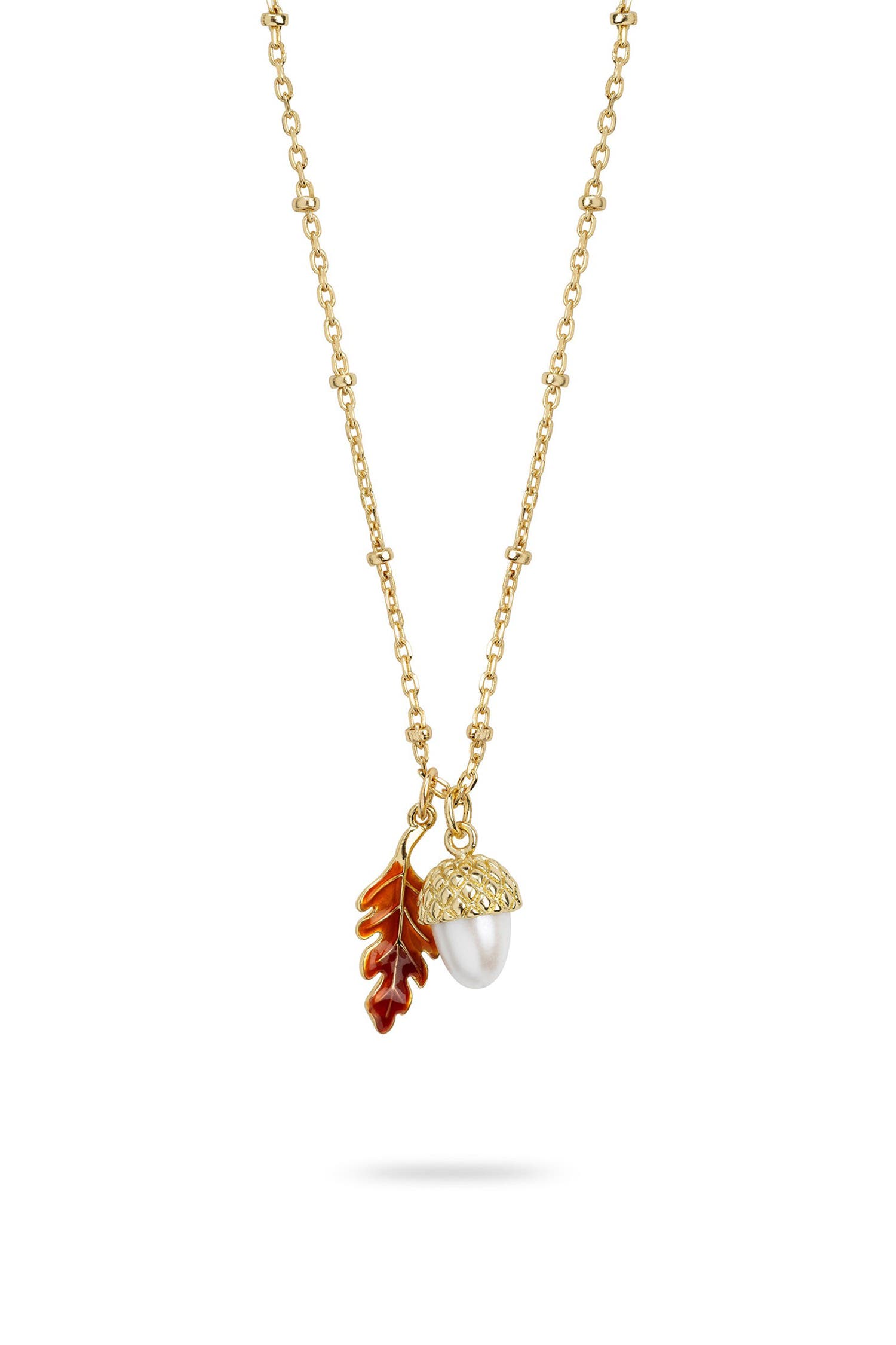 selected Acorn & Oak