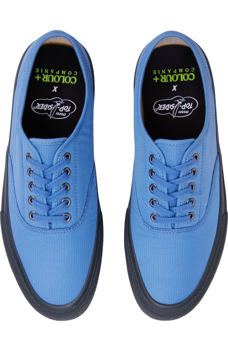 Sperry x Colour Plus Companie CVO Sneaker, Alternate, color, Blue