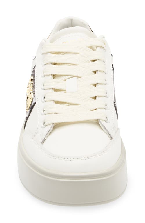 Roberto Cavalli Logo Hardware Low Top Sneaker In White