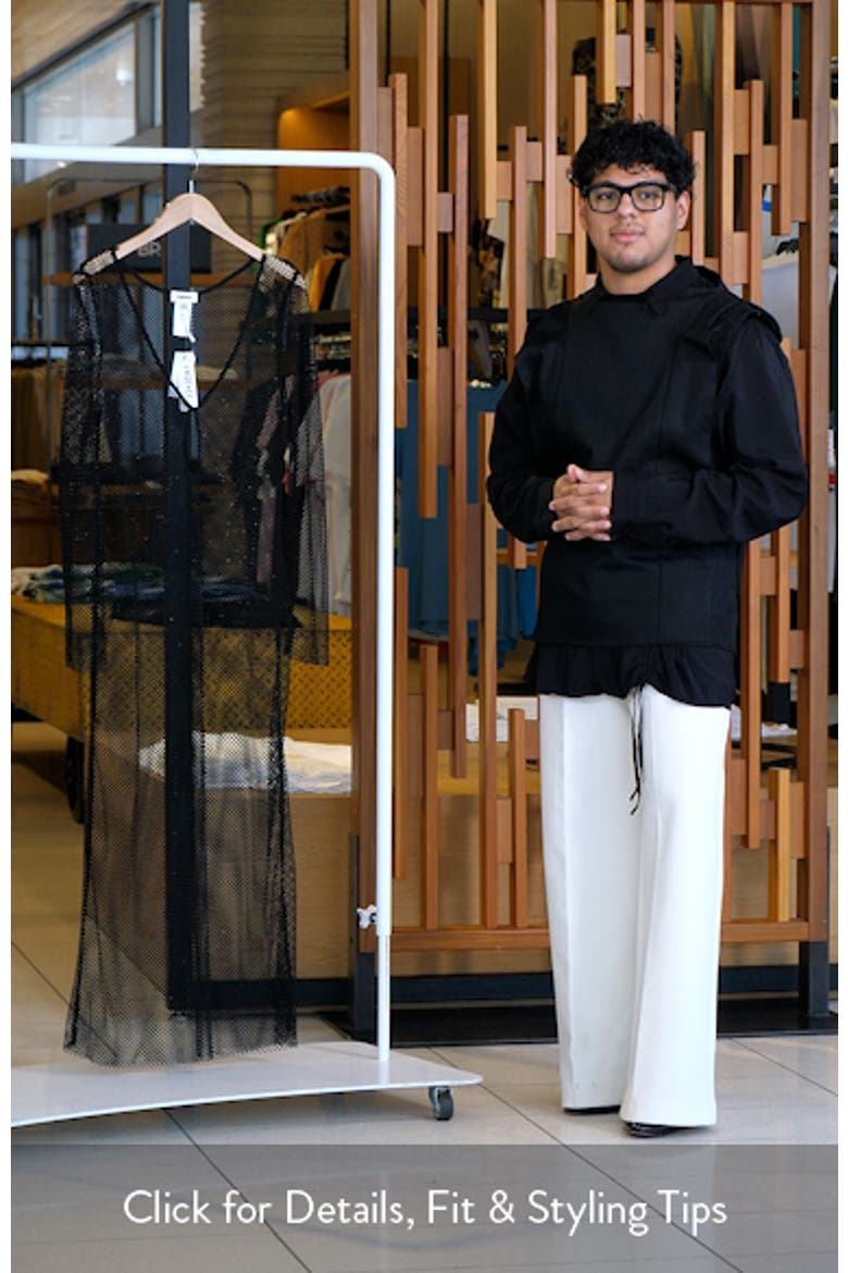 Sara Shine Long Sleeve Sheer Mesh Cover-Up Dress video