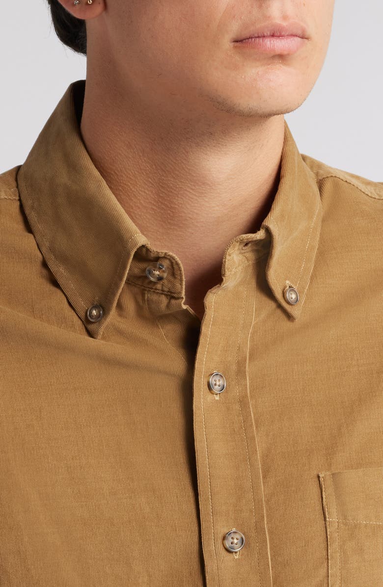 Schott NYC Pinwale Corduroy Button Down Shirt, Alternate, color, Khaki