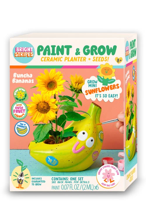 BRIGHT STRIPES Paint & Grow Banana Ceramic Planter & Seeds Set in Multi 