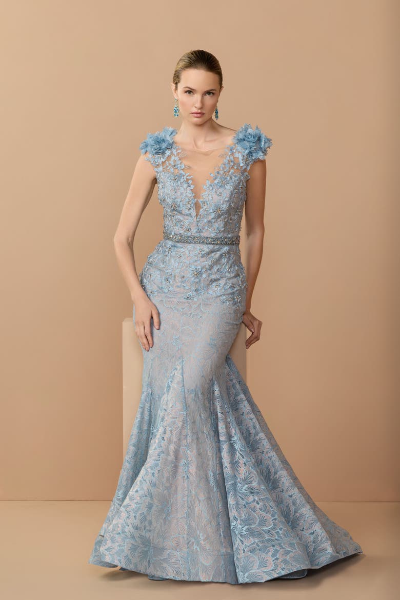 Embroidered Illusion Appliqued Bodice Trumpet Gown, Alternate, color, Powder Blue