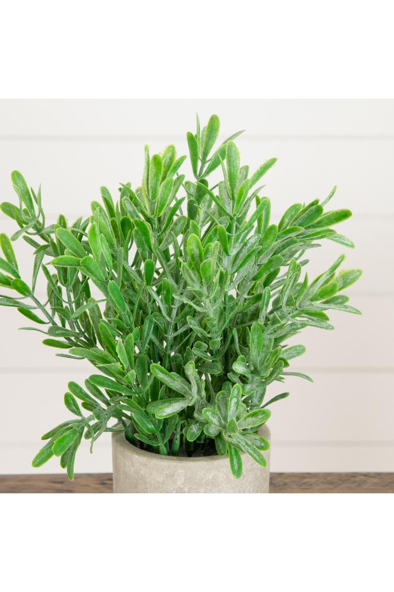 8-in Artificial Grass Plant in Decorative Planter - Set of 3, Alternate, color, Green