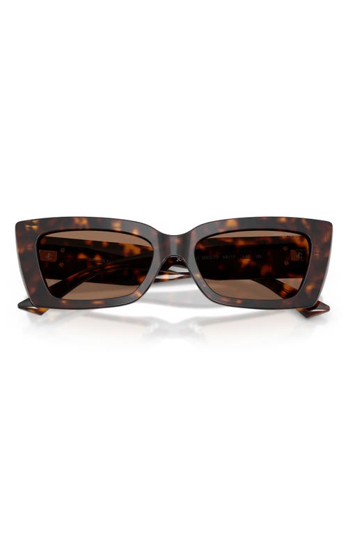 Jimmy Choo Havana Cat Eye Sunglasses In Brown