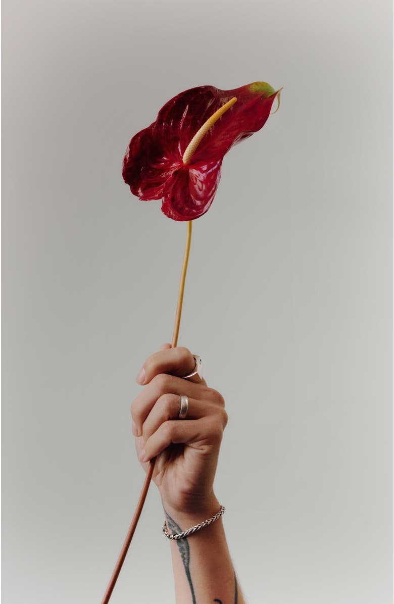 LOUPN Spiga Chain Bracelet, Alternate, color, Silver