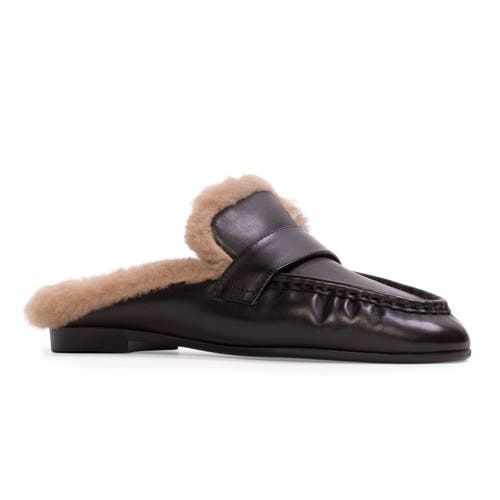 Black Suede Studio Theo Backless Loafer In Brown
