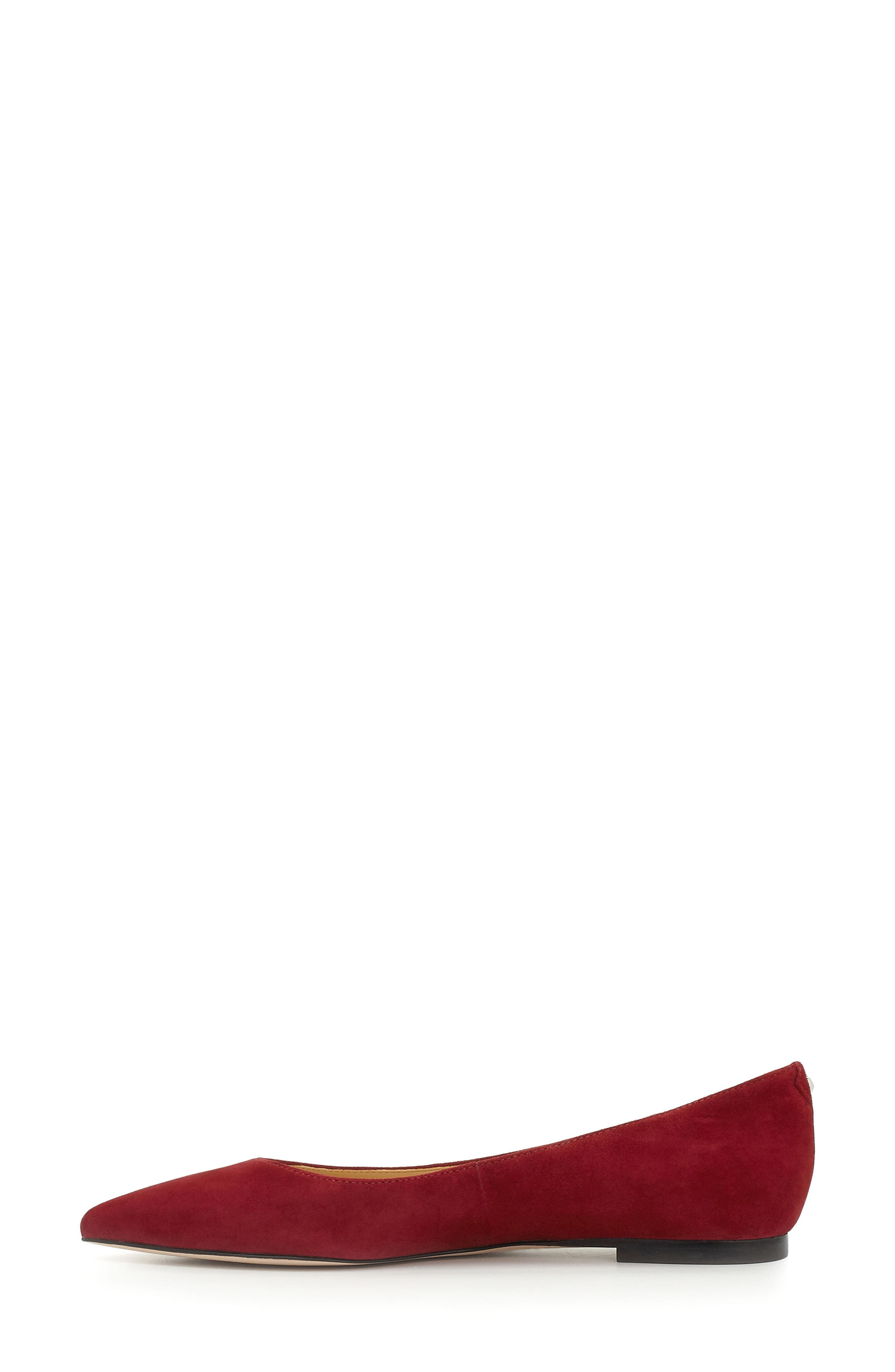Sam Edelman Rae Pointy Toe Flat, Alternate, color, 