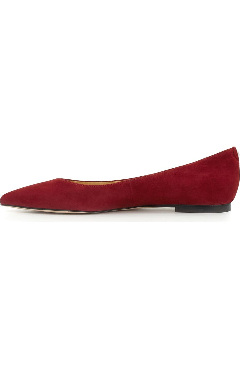 Sam Edelman Rae Pointy Toe Flat, Alternate, color,